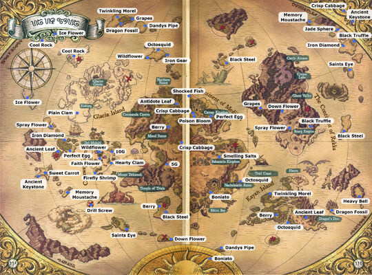 World Map of the NDS game with added field items locations