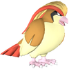 Pidgeot render