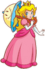 Super Princess Peach 3