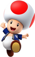 Toad