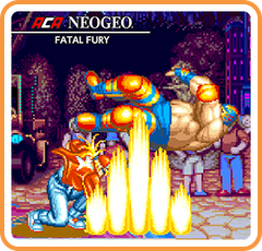 Fatal Fury Icon