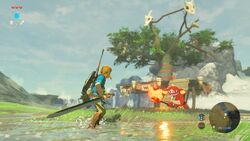 BreathOfTheWild1.jpg