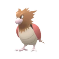 PKMNBDSP021