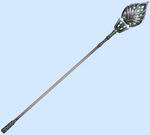 Melia2-A.jpg (2 KB) 2-A