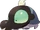 Shroodle