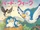 Bird Week