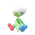 PKMNZA407