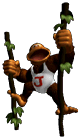 DKJr trophy