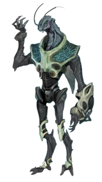 An Orphean as seen in .