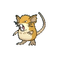 Raticate