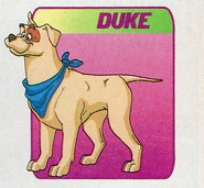 Duke