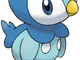 Piplup