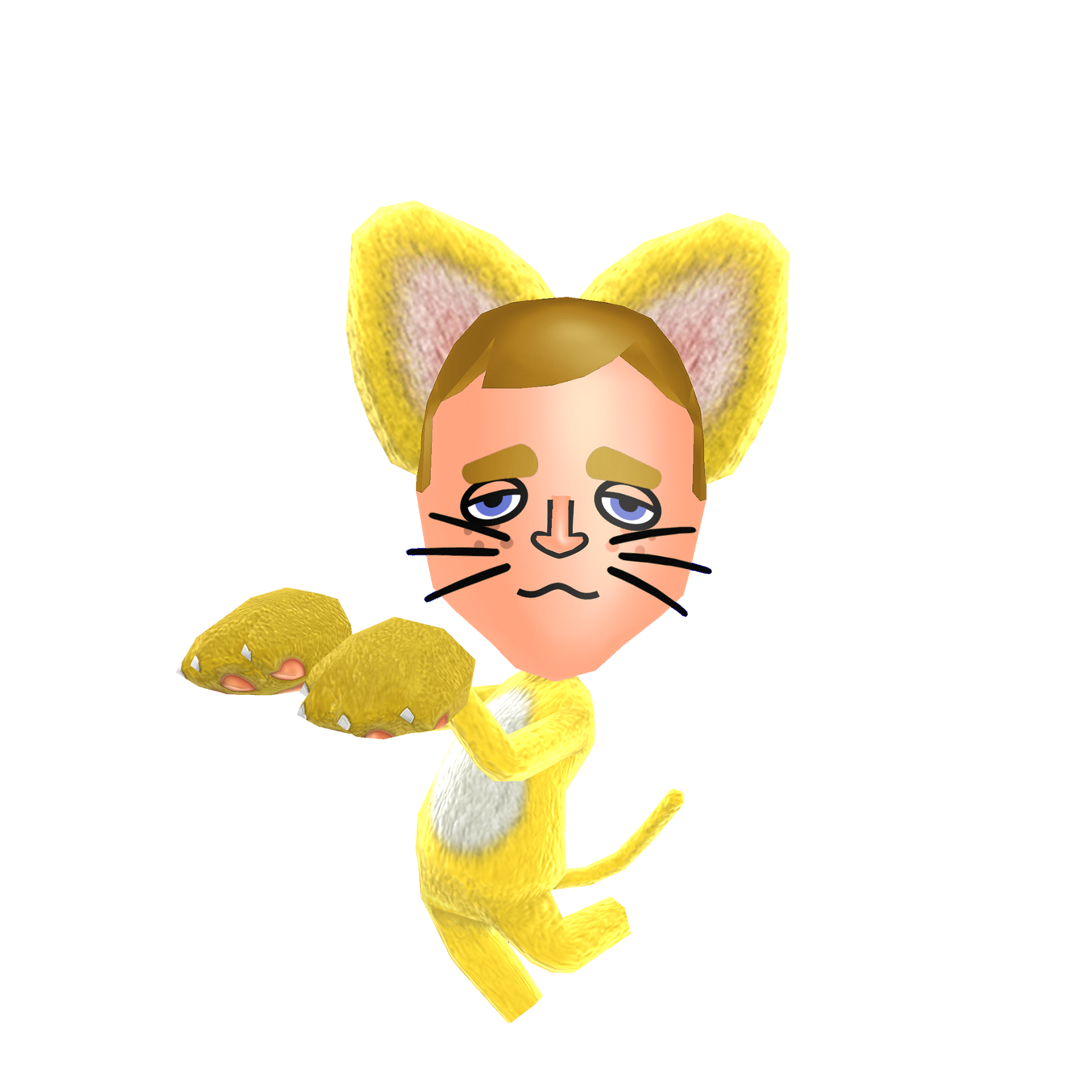 Cat Miitopia Nintendo Fandom