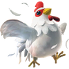 HW Cucco