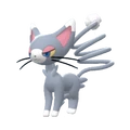 PKMNBDSP431