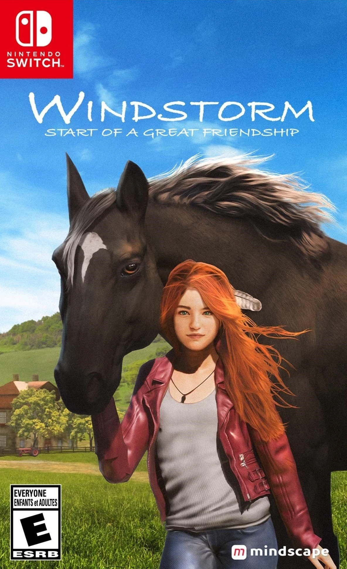 Windstorm: Start of a Great Friendship | Nintendo | Fandom