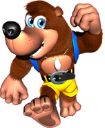 Banjo