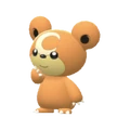 PKMNBDSP216