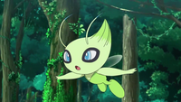 Celebi anime