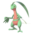 PKMNSS253