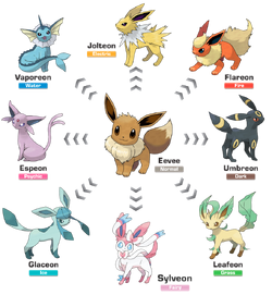 EVOLUTION OF EEVEE (UMBREON) - online puzzle