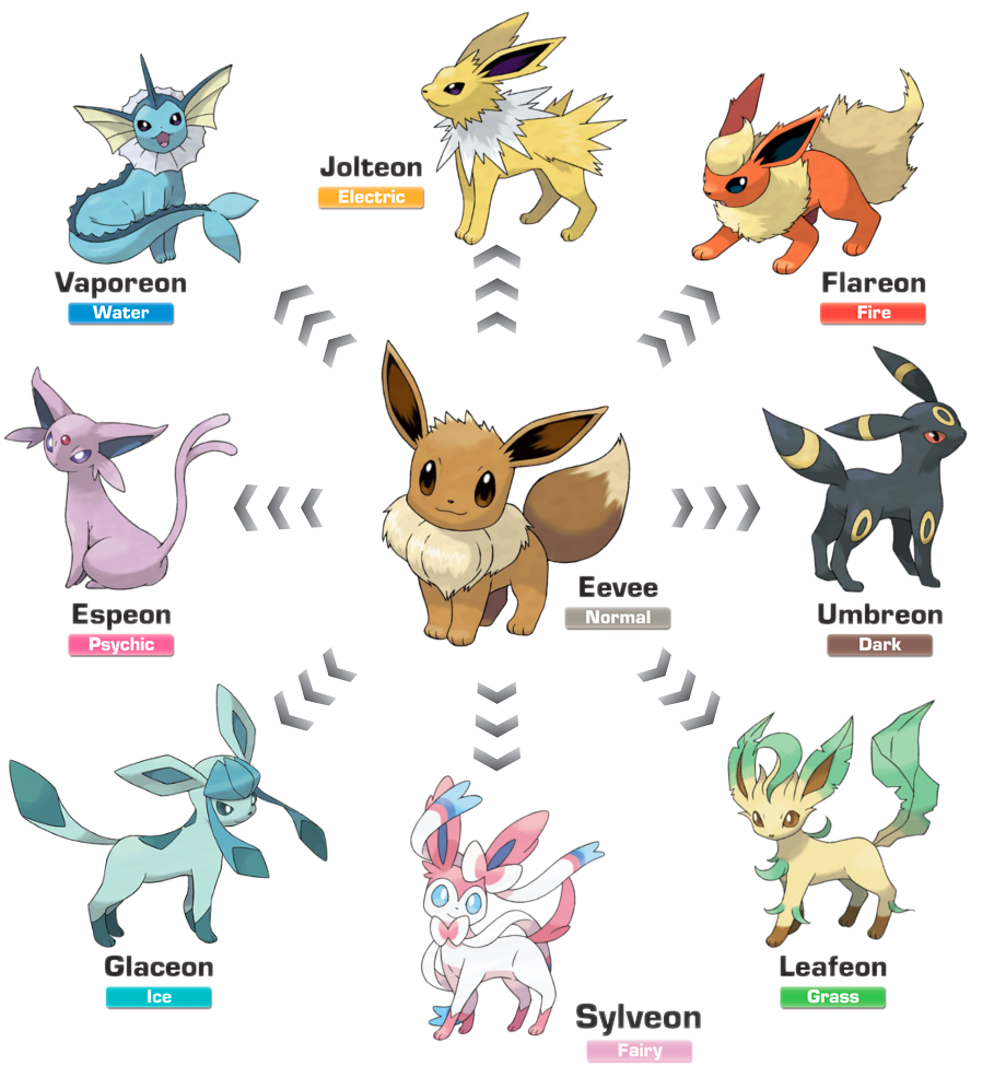 My Eeveelutions and their names, Wiki