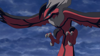 Yveltal in the anime