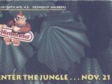 Donkey Kong Country Exposed