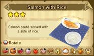 Salmon with Rice