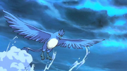 Articuno M02