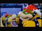 Bowser & Bowser Jr.