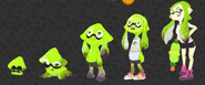 An Inkling growing up.