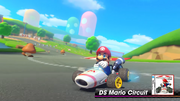 DS Mario Circuit MK8DX