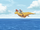 Dragonite and the Special Delivery