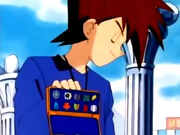 Gary's ten Kanto badges