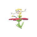 PKMNZA669