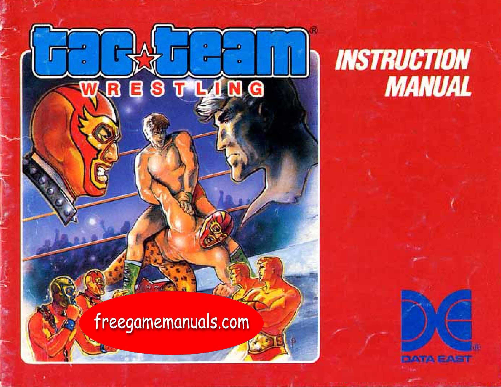 Tag team wrestling nes top