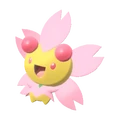 PKMNPLA421-Sunny