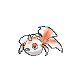 Goldeen