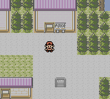 Cherrygrove City's Pokémon Center from Pokémon Crystal.