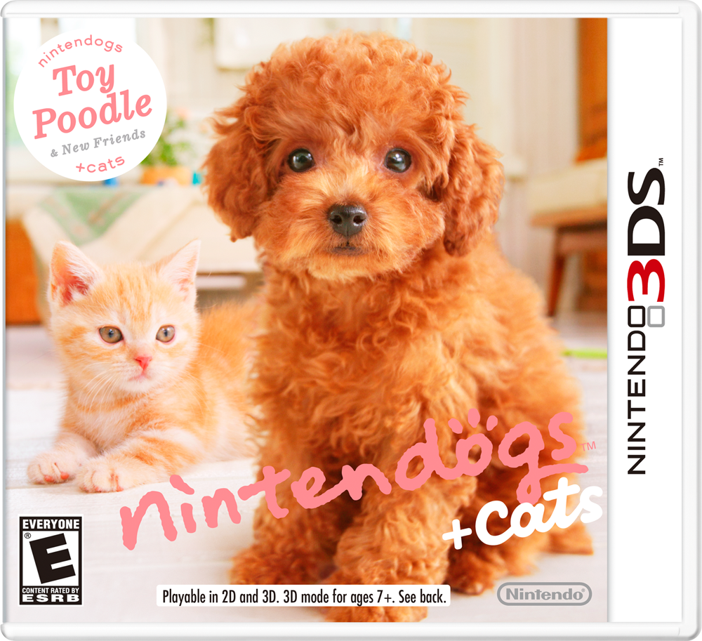 Toy top poodle pret