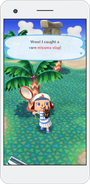 Animal Crossing - Pocket Camp - Screenshot 04