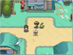 Ethan is walking with a Chikorita.