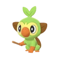 PKMNSS810