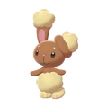 PKMNSS427