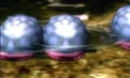 Water Dumples.