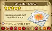 Marinated Salmon.