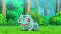 Ash's Bulbasaur