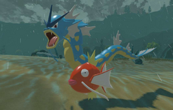 Gyarados | Nintendo | Fandom Gyarados | Nintendo | Fandom