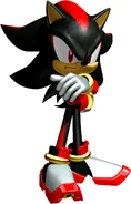 Shadow the Hedgehog.